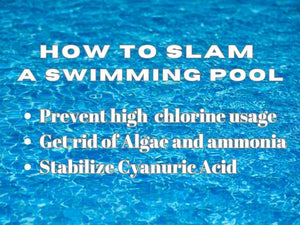 如何对泳池进行 SLAM（冲击水平和维持）以去除氨或藻类