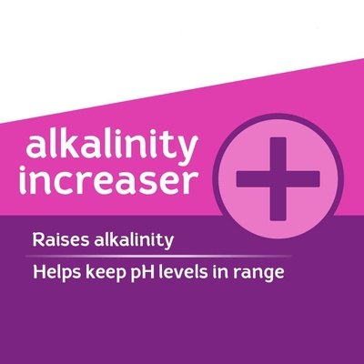 HTH Pool Balance Alkalinity Increaser - Thesummerpools.com