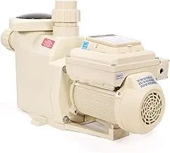 Pool Filter