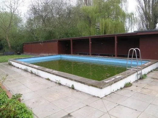 Swimming Pool Algae